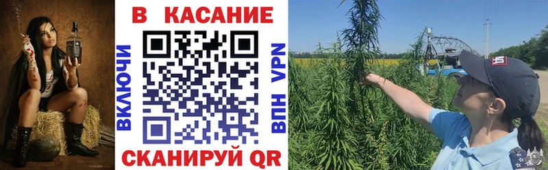 Купить наркотики цена Гурьевск Бошки Шишки Cocaine Гашиш Меф
