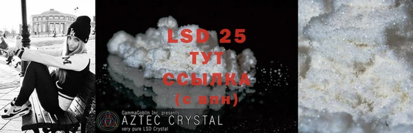 PSILOCYBIN Алзамай