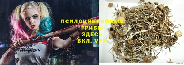 МДПВ Алексин