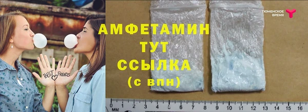 PSILOCYBIN Алзамай