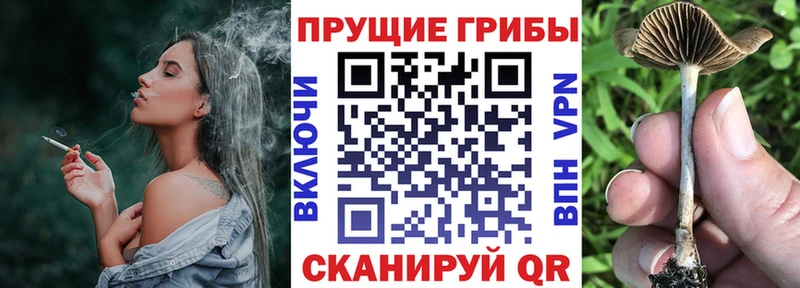 МЕГА как зайти  Гурьевск  Псилоцибиновые грибы GOLDEN TEACHER 